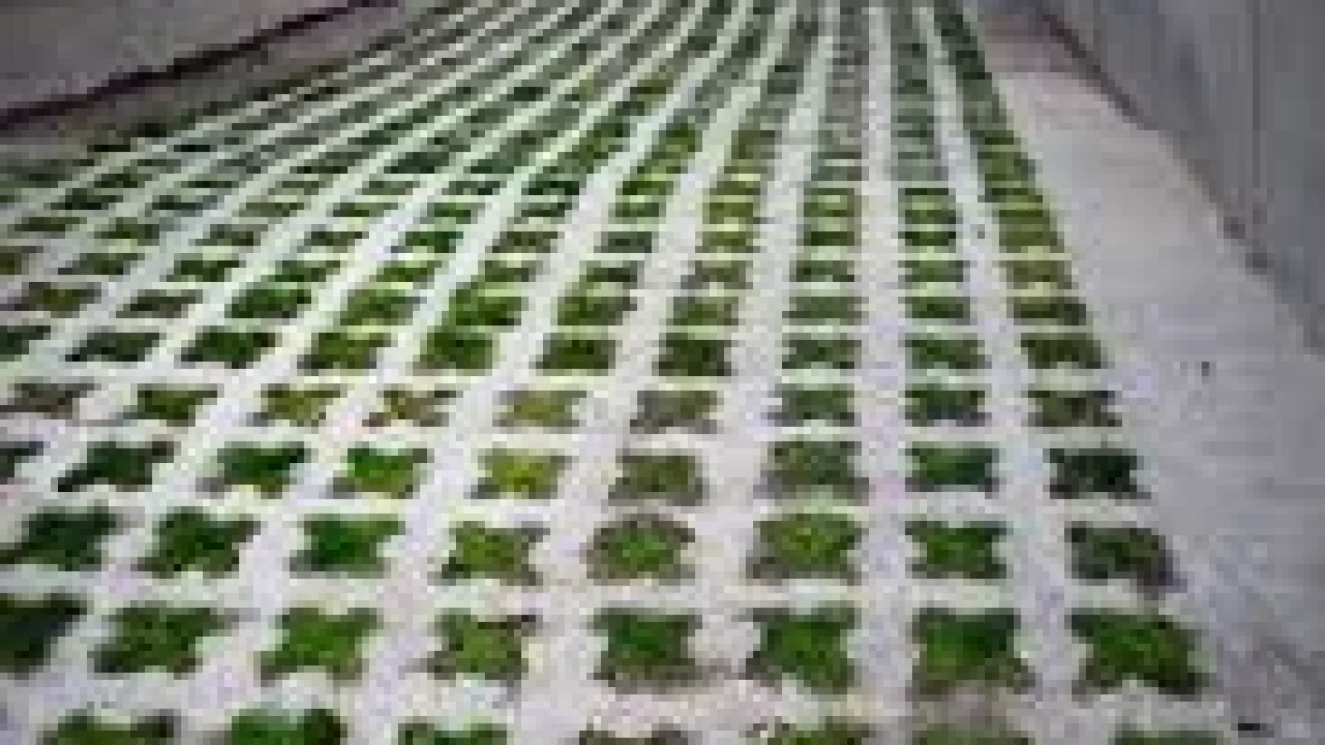 top-5-sustainable-concrete-practices-for-driveways